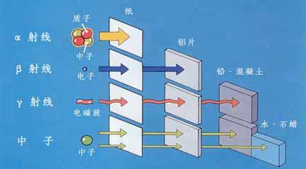 中子射线对人体的危害由多大